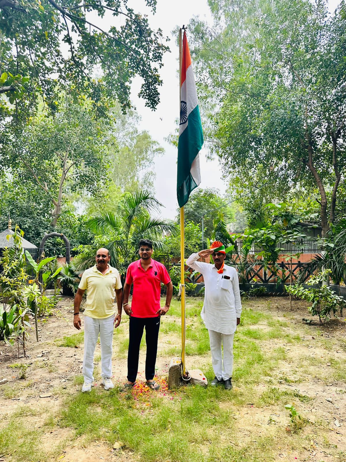 Tree Plantation
