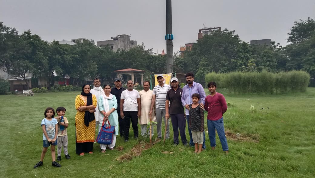 Tree Plantation