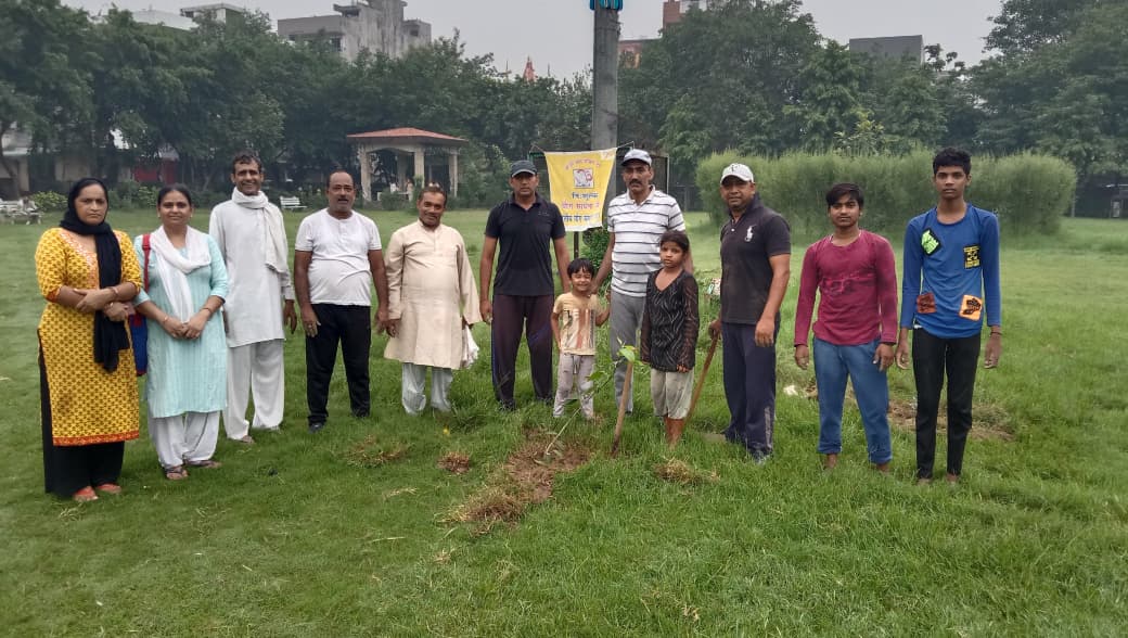 Tree Plantation