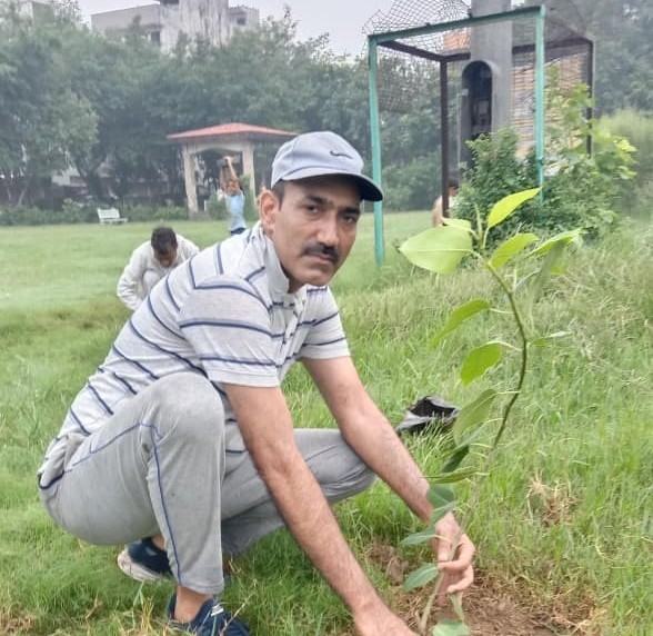 Tree Plantation